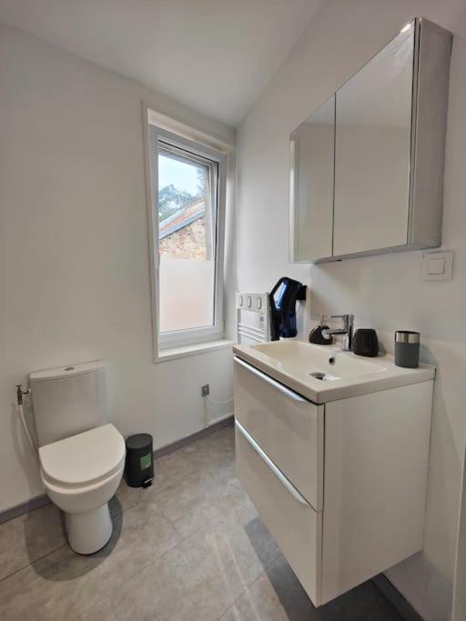 Apartmán La Feline - Duplex - Vieux Valenciennes - Familial Exteriér fotografie